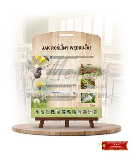 LN27m - Jak wędrują rośliny_rewers_webp.webp