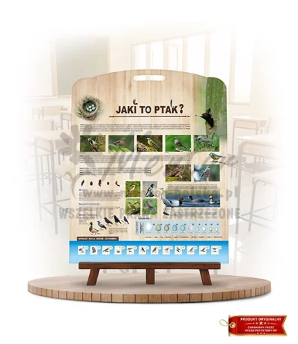 Labirynt Wiedzy - Jaki to ptak? I_rewers