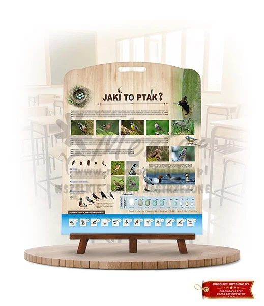 Labirynt Wiedzy - Jaki to ptak? I_rewers