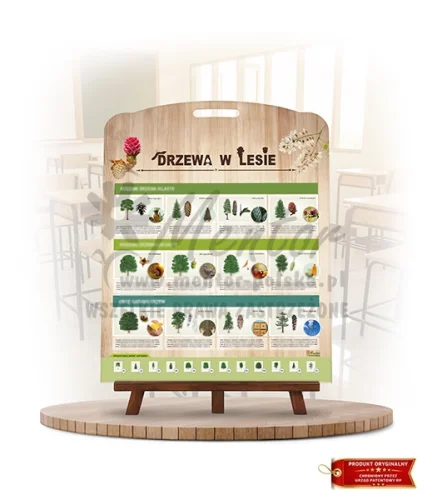 Labirynt Wiedzy - Drzewa w lesie_rewers