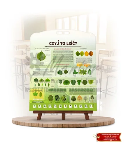 Labirynt Wiedzy - Czyj to liść?_rewers