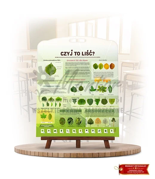 Labirynt Wiedzy - Czyj to liść?_rewers