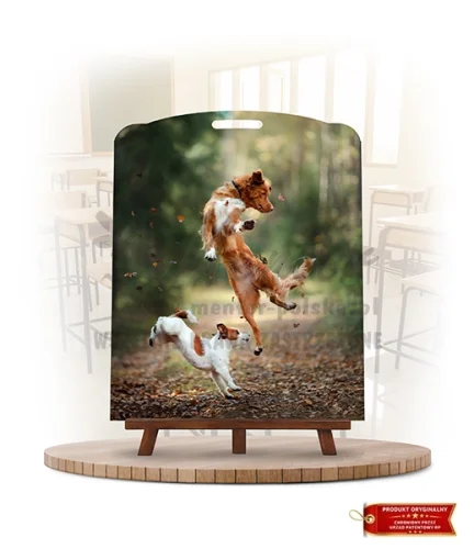 Labirynt Wiedzy - Psie sporty _rewers