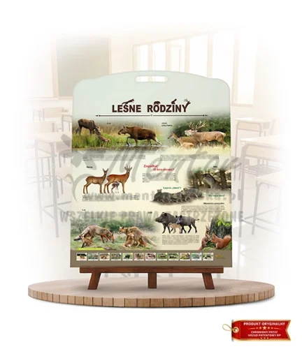 Labirynt Wiedzy - Leśne rodziny_rewers