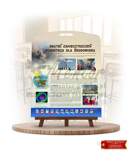 Labirynt Wiedzy - Skutki zanieczyszczeń powietrza dla środowiska_rewers