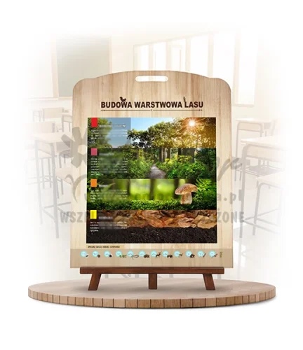 Labirynt Wiedzy - Budowa lasu_rewers