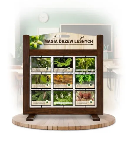 Seria poznawcza (gra mobilna) - Magia drzew leśnych kolor brąz