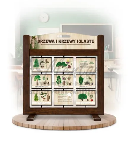 Seria poznawcza (gra mobilna) - Drzewa i krzewy iglaste