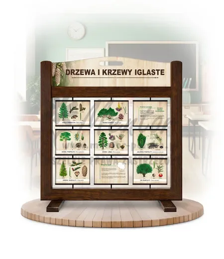 Seria poznawcza (gra mobilna) - Drzewa i krzewy iglaste kolor brąz