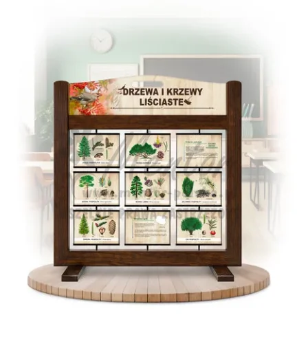 Seria poznawcza (gra mobilna) - Drzewa i krzewy liściaste kolor brąz