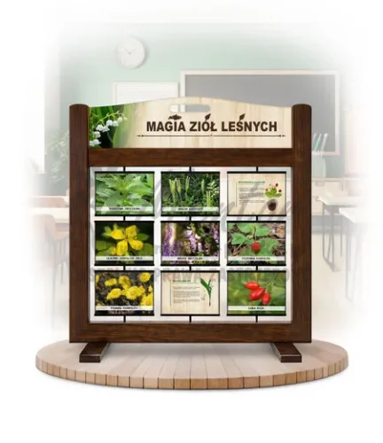 Seria poznawcza (gra mobilna) - Magia ziół leśnych kolor brąz