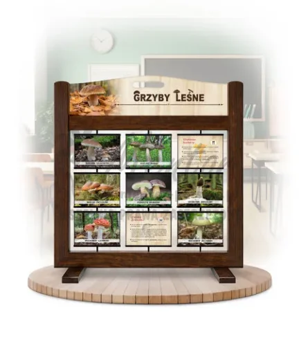 Seria poznawcza (gra mobilna) - Grzyby leśne