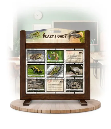 Seria poznawcza (gra mobilna) - Płazy i gady (wersja foto) kolor brąz
