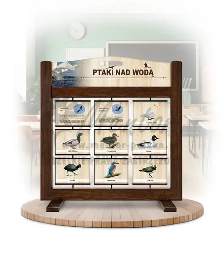 Seria poznawcza (gra mobilna) - Ptaki nad wodą (wersja ilustrowana) kolor brąz