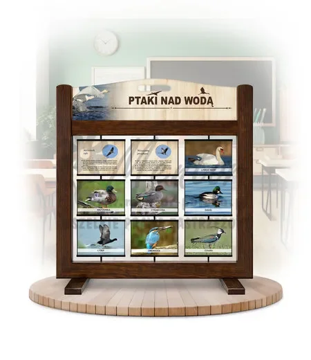 Seria poznawcza (gra mobilna) - Ptaki nad wodą (wersja foto) kolor brąz