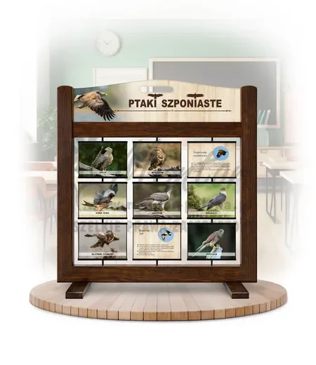 Seria poznawcza (gra mobilna) - Ptaki szponiaste
