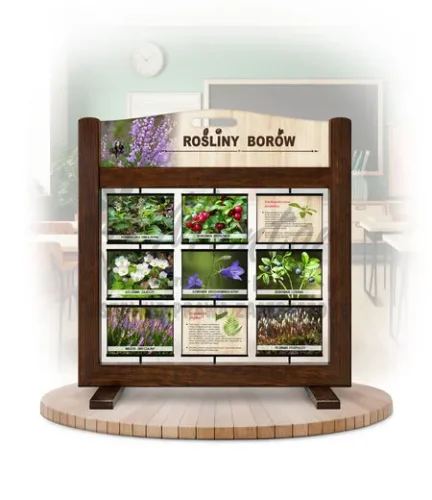 Seria poznawcza (gra mobilna) - Rośliny borów