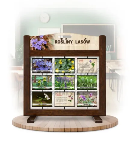 Seria poznawcza (gra mobilna) - Rośliny lasów