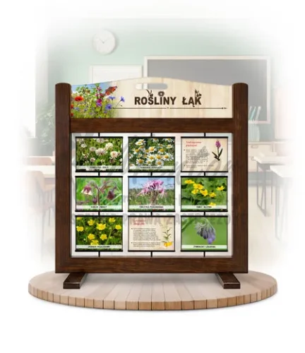 Seria poznawcza (gra mobilna) - Rośliny łąk kolor brąz