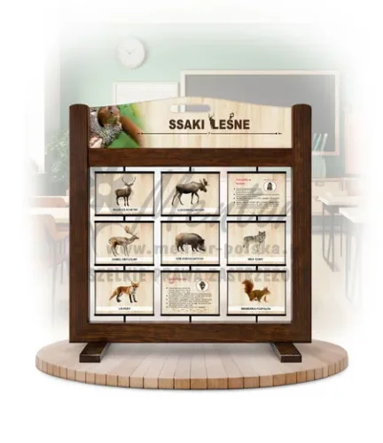 Seria poznawcza (gra mobilna) - Ssaki leśne (wersja ilustrowana)