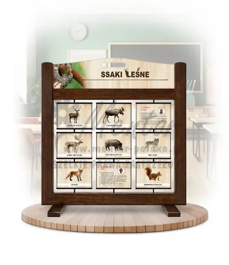 Seria poznawcza (gra mobilna) - Ssaki leśne (wersja ilustrowana)