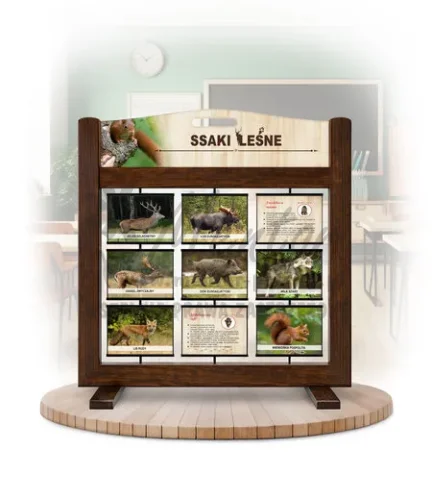 Seria poznawcza (gra mobilna) - Ssaki leśne (wersja foto) kolor brąz