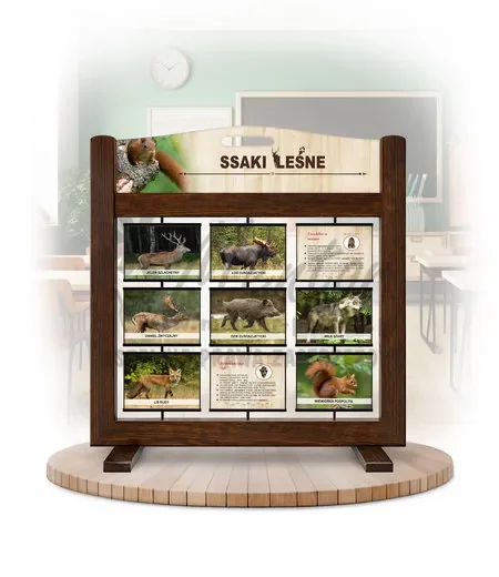 Seria poznawcza (gra mobilna) - Ssaki leśne (wersja foto)