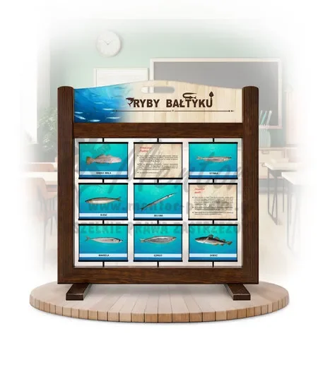 Seria poznawcza (gra mobilna) - Ryby Bałtyku