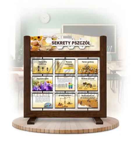 Seria poznawcza (gra mobilna) - Sekrety pszczół kolor brąz