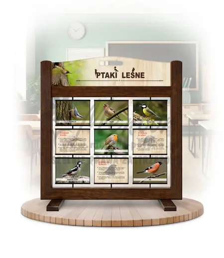 Seria poznawcza (gra mobilna) - Ptaki leśne (wersja foto)