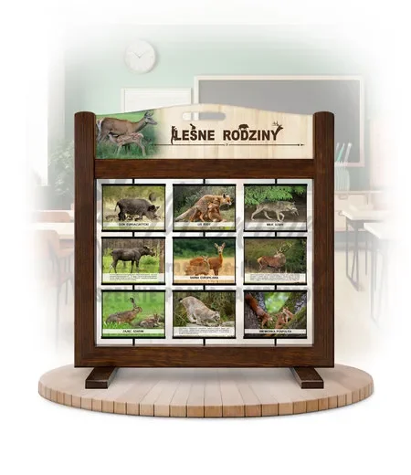 Seria poznawcza (gra mobilna) - Ssaki - leśne rodziny kolor brąz