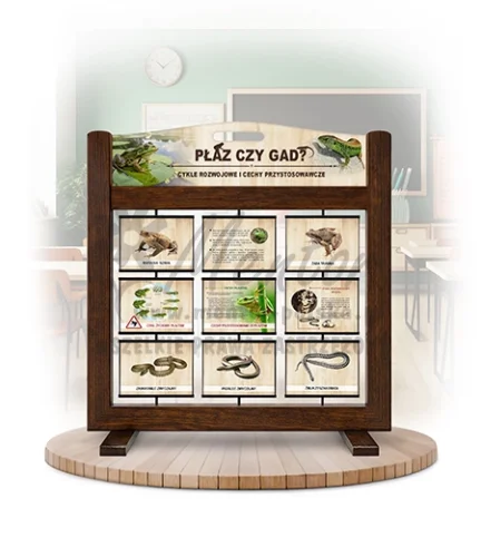 Seria poznawcza (gra mobilna) - Płazy i gady - cykle rozwojowe i cechy przystosowawcze kolor brąz