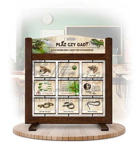 Seria poznawcza (gra mobilna) - Płazy i gady - cykle rozwojowe i cechy przystosowawcze
