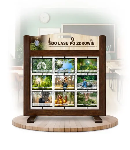 Seria poznawcza (gra mobilna) - Do lasu po zdrowie