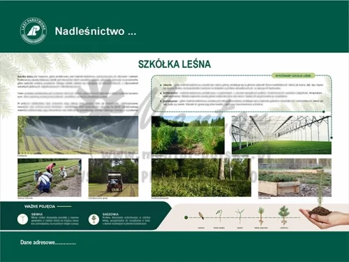 56. Szkółka leśna.webp