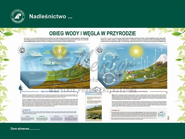 57. OBIEG WODY I WĘGLA W PRZYRODZIE.webp