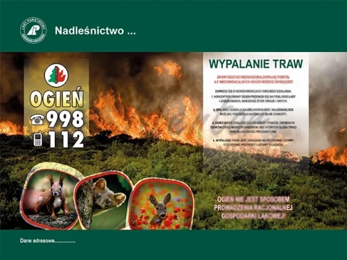 59. WYPALANIE TRAW.webp