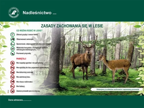 60. Zasady zachowania się w lesie.webp