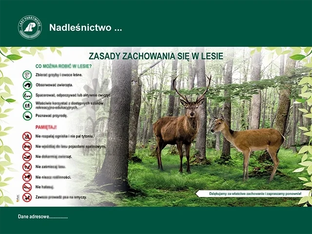 60. Zasady zachowania się w lesie.webp