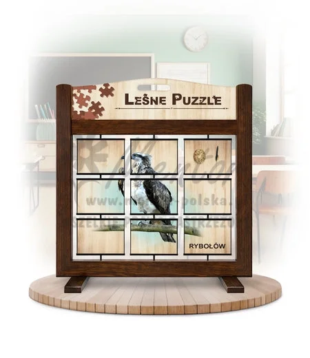 Leśne puzzle (gra mobilna) - Jastrząb gołębiarz i Rybołów_rewers kolor brąz