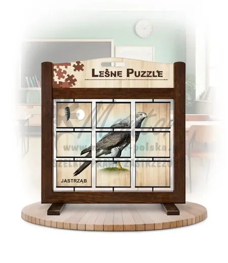 Leśne puzzle (gra mobilna) - Jastrząb gołębiarz i Rybołów_awers kolor brąz