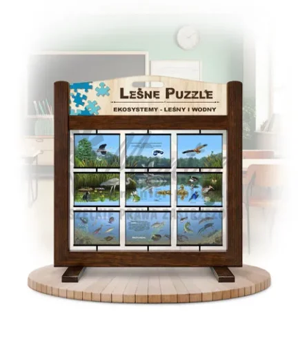 Leśne puzzle (gra mobilna) - Ekosystemy_rewers kolor brąz