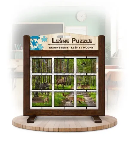 Leśne puzzle (gra mobilna) - Ekosystemy_awers kolor brąz
