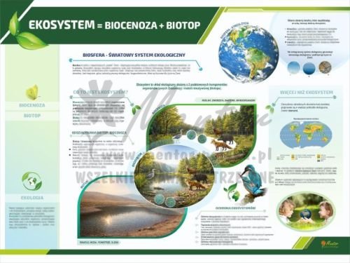TE3-47 - Ekosystem - biotop i biocenoza.jpg