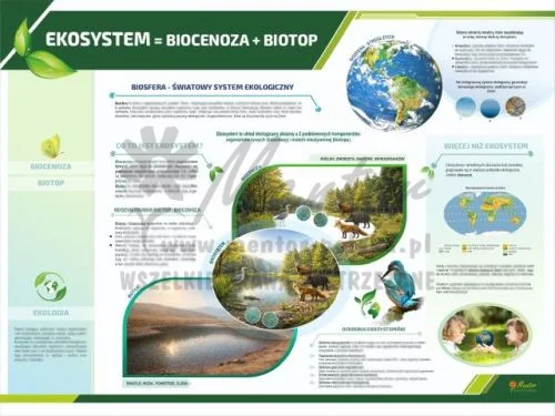 TE3-47 - Ekosystem - biotop i biocenoza.jpg