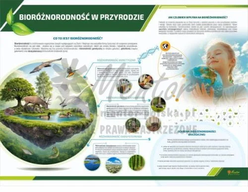 TE3-50 - Bioróżnorodność w przyrodzie.jpg