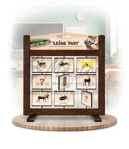 Pamięciówka (gra mobilna) - Leśne pary