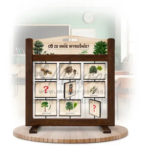 Pamięciówka (gra mobilna) - Co ze mnie wyrośnie?