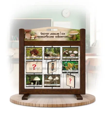 Pamięciówka (gra mobilna) - Grzyby jadalne i ich niebezpieczne sobowtóry