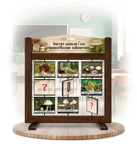 Pamięciówka (gra mobilna) - Grzyby jadalne i ich niebezpieczne sobowtóry kolor brąz